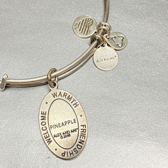 Alex and Ani Warmth Friendship Pineapple Adjustable Wire Silver Tone Bracelet - Picture 3 of 5